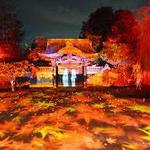 高台寺(Kodaiji Temple)