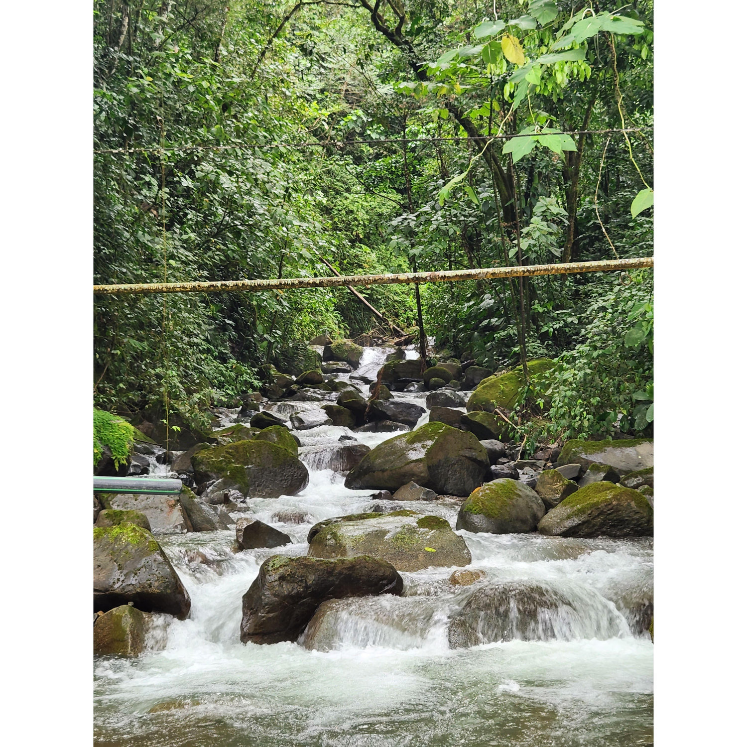La Fortuna