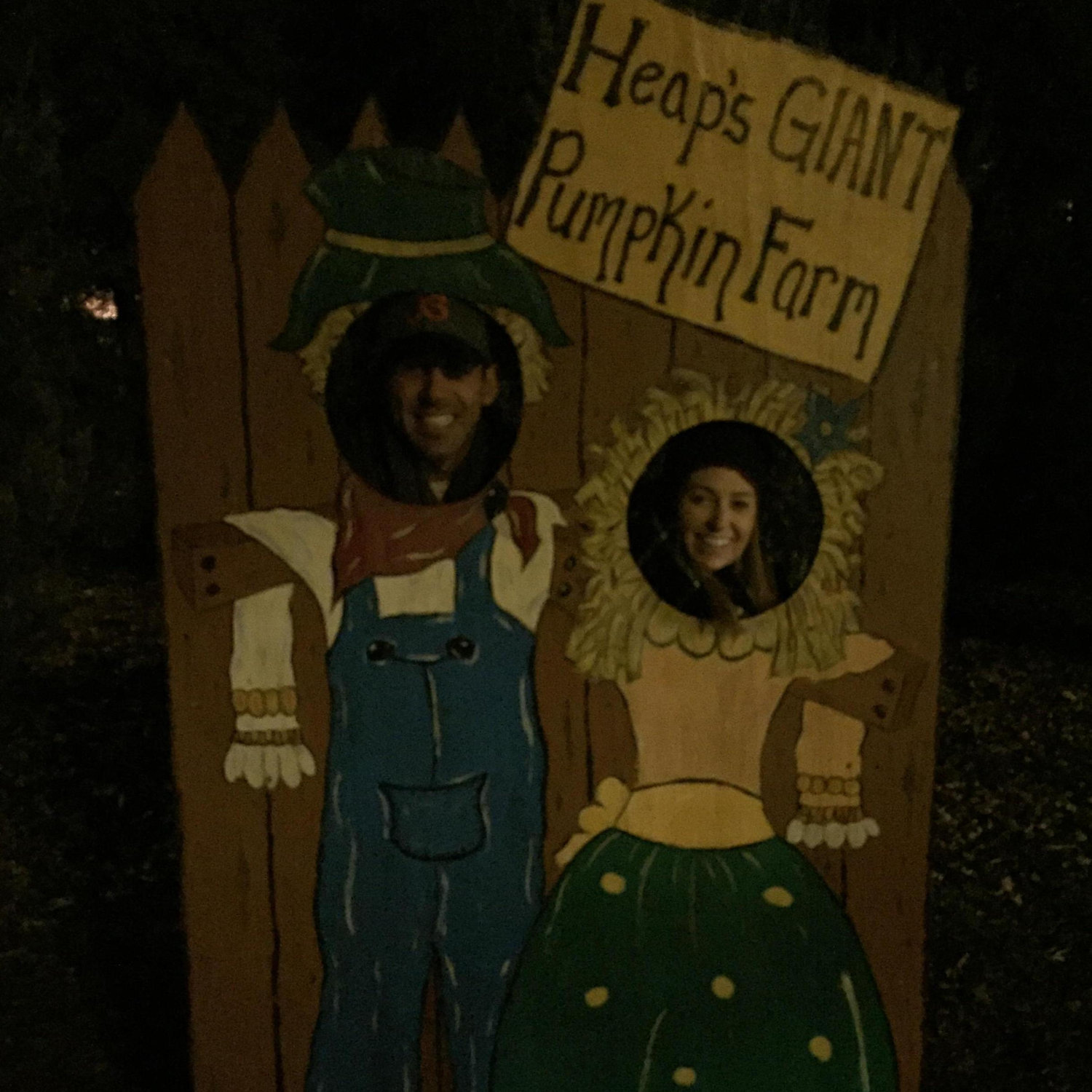 if we were scarecrows we would still be holding hands