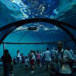 Indianapolis Zoo