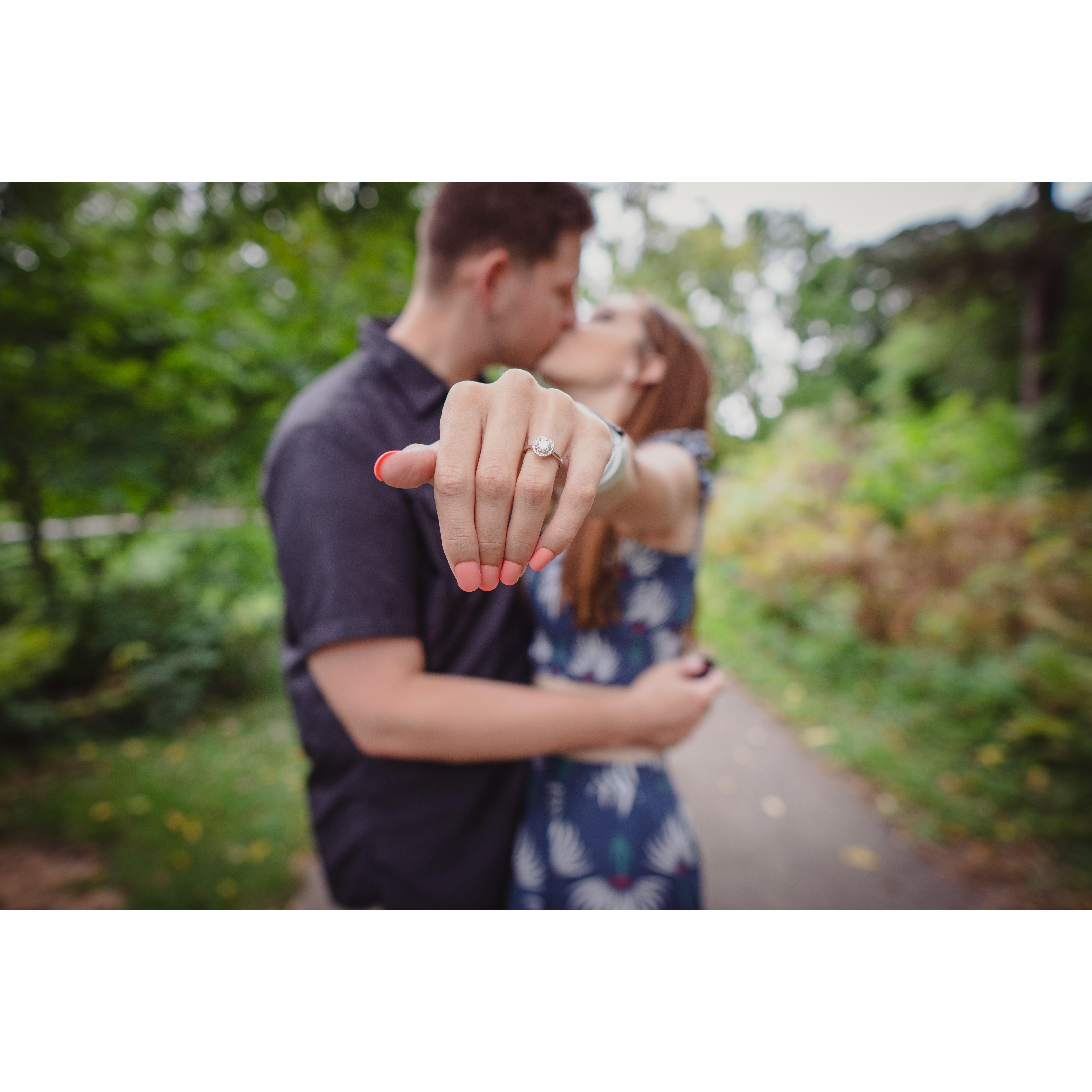 Engagement Photos in Settlers Park (Mequon/Thiensville, WI)
