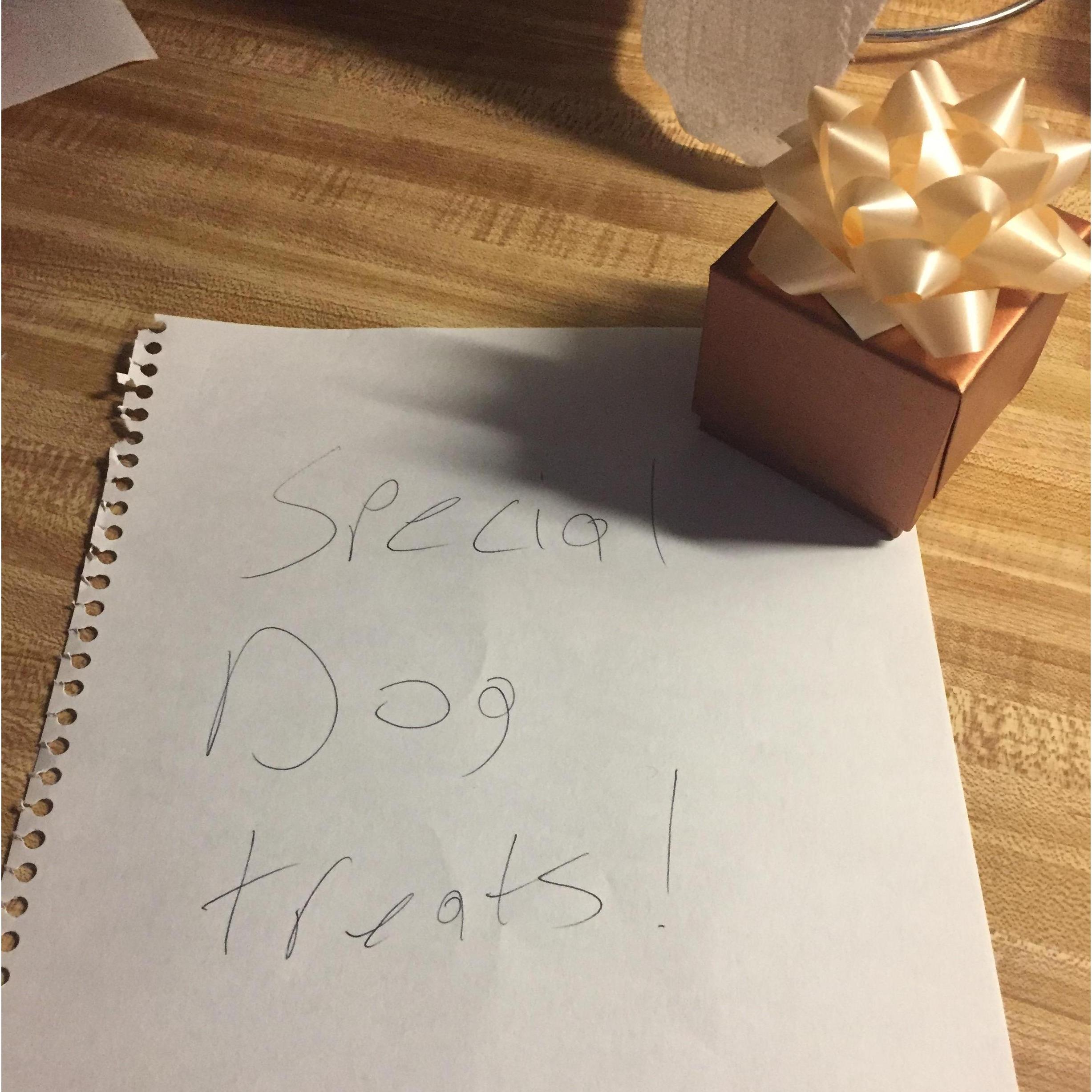 February 2017 - Astro had eaten a few pairs of his mom's earrings... A special Valentines surprise to make up for it