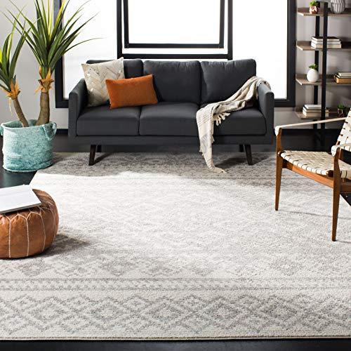 Safavieh Adirondack Collection Ivory and Silver Rustic Bohemian Area Rug (8' x 10')