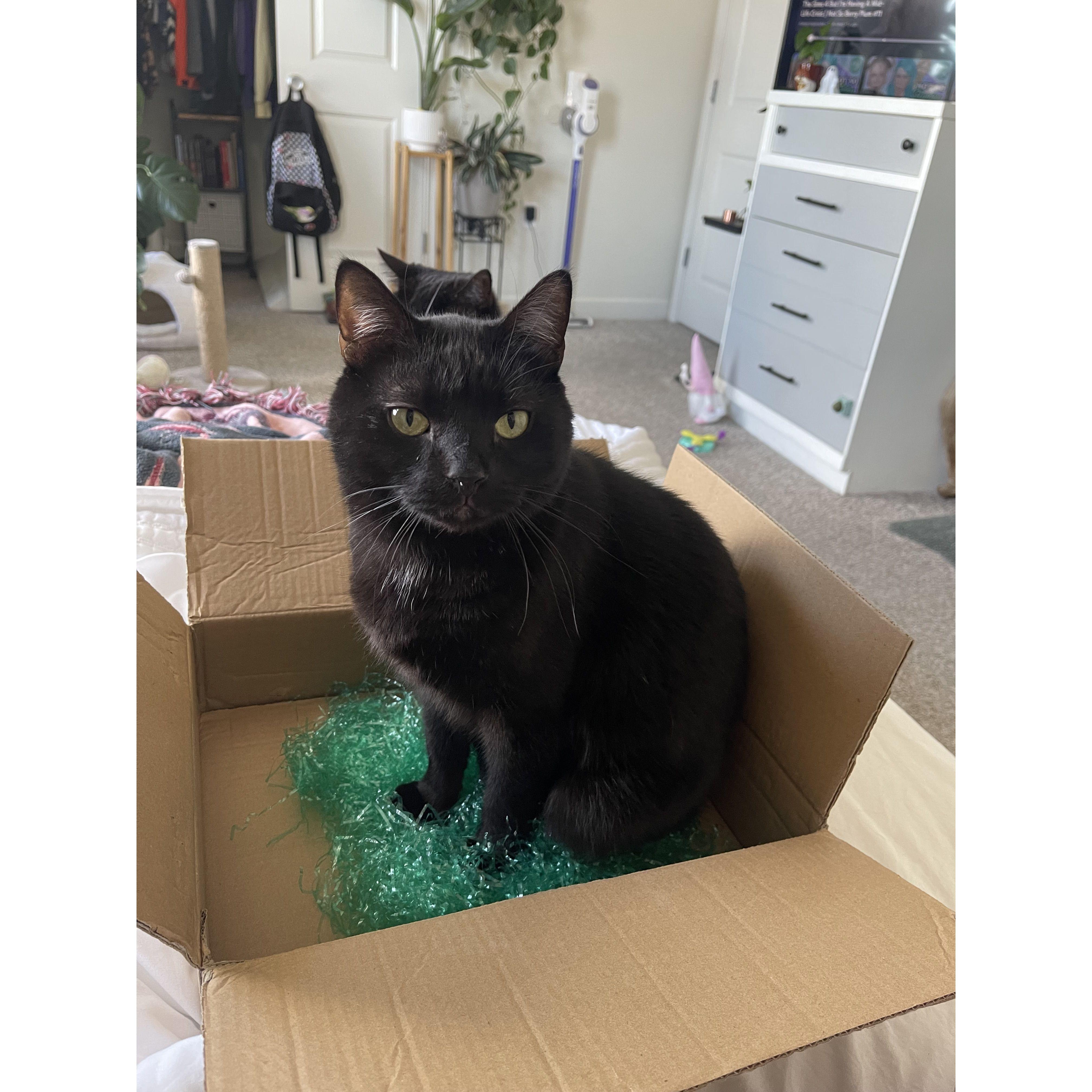 Loki, AKA Locomotive