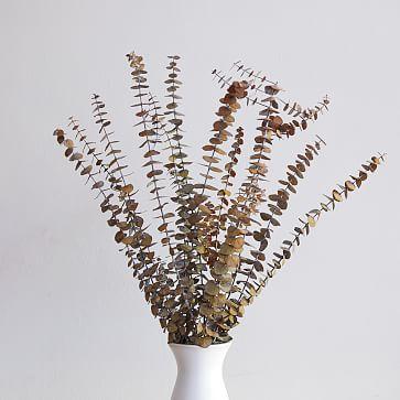 West Elm Dried Eucalyptus Bundle - Yellow