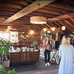 Snowy Owl Coffee Roasters