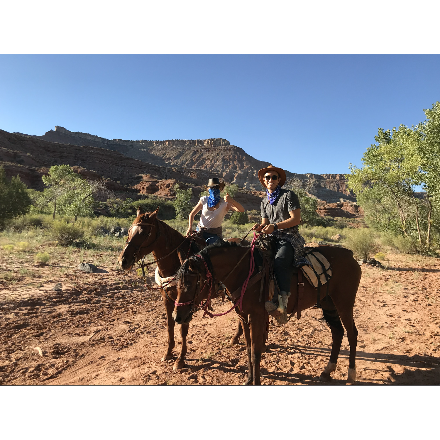Zion National Park, UT, Summer 2019