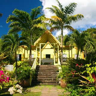 The Best of St. Kitts Island Tour for 2