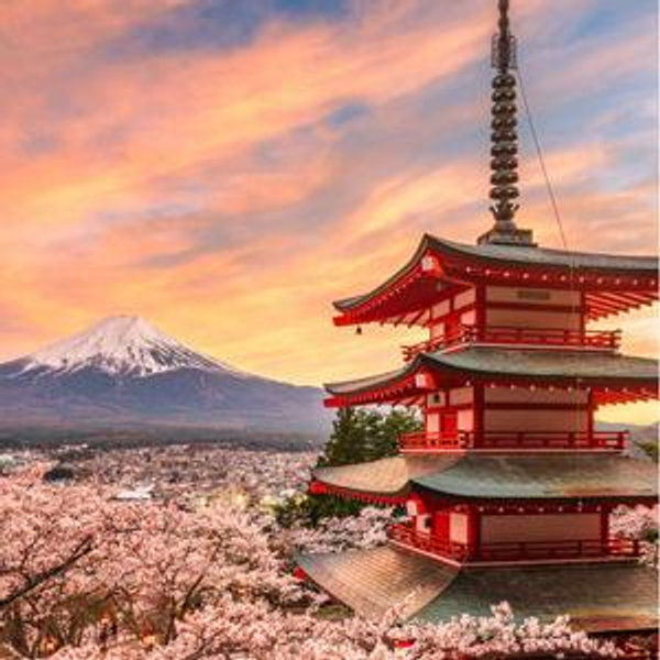 Japan Honeymoon Fund