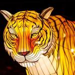 Asian Lantern Spectacular at RWP Zoo
