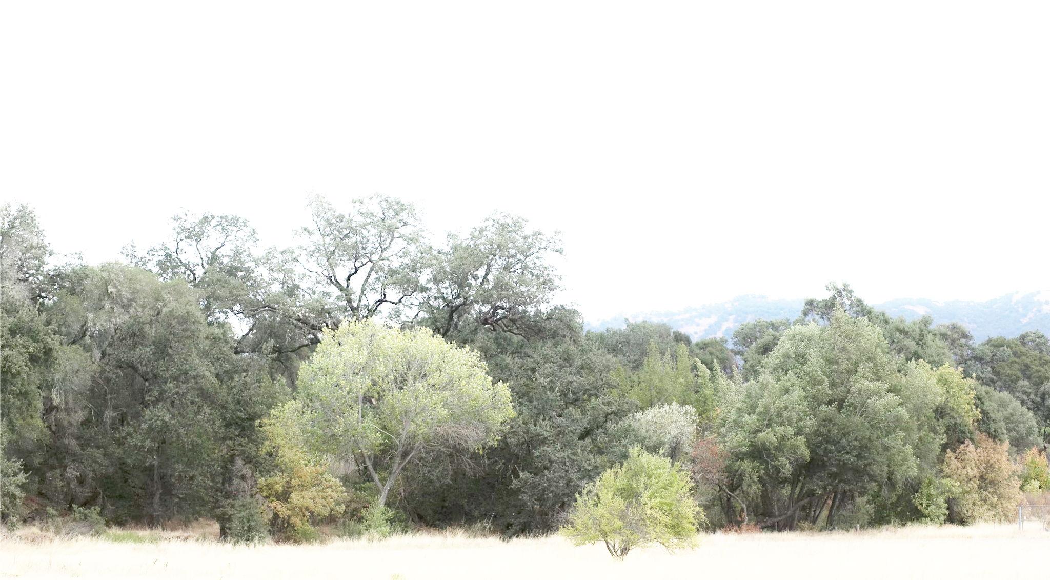 The Wedding Website of Kelsey Rosen and Ian Cook