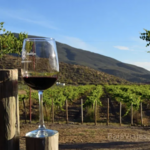 Mexico's wine counrty