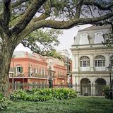 The Garden District