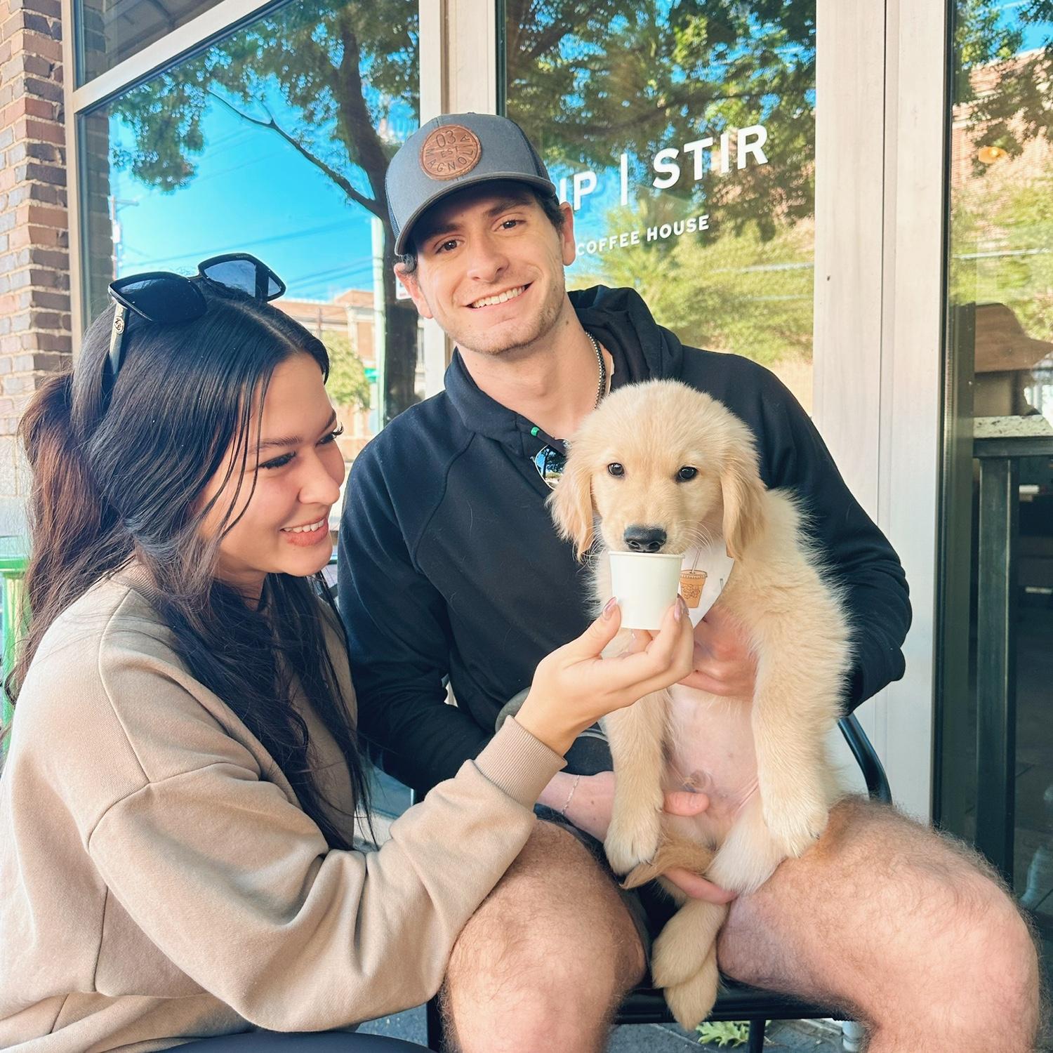 we got our sweet boy louie