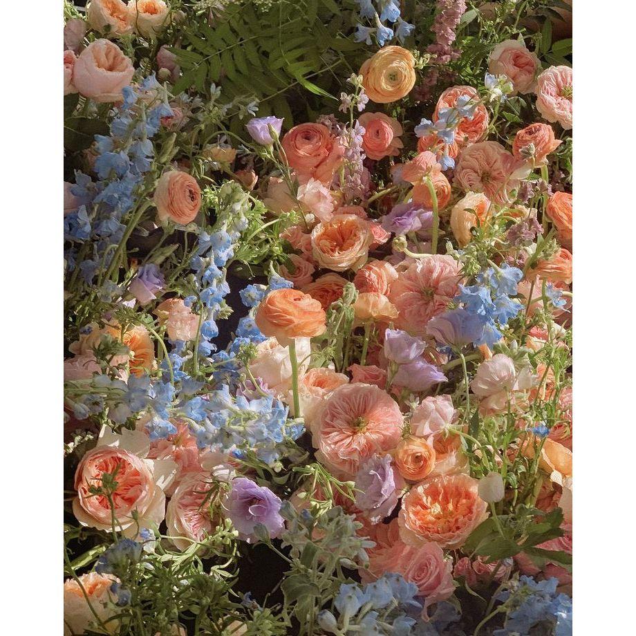 Some of our color palette!