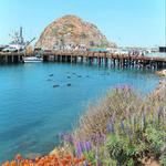 Morro Bay