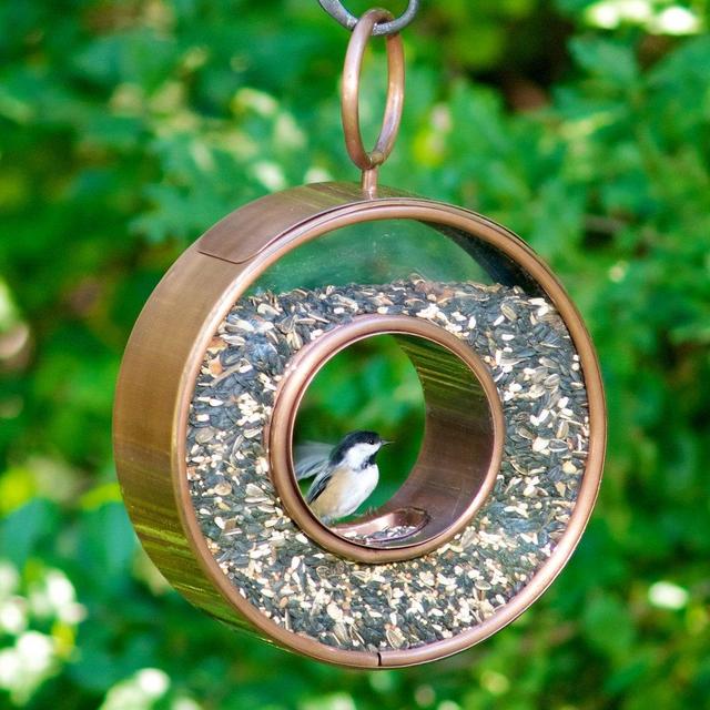 Just in Time Fly-Thru Copper Bird Feeder by Good Directions
