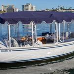 Duffy Electric Boats Rental