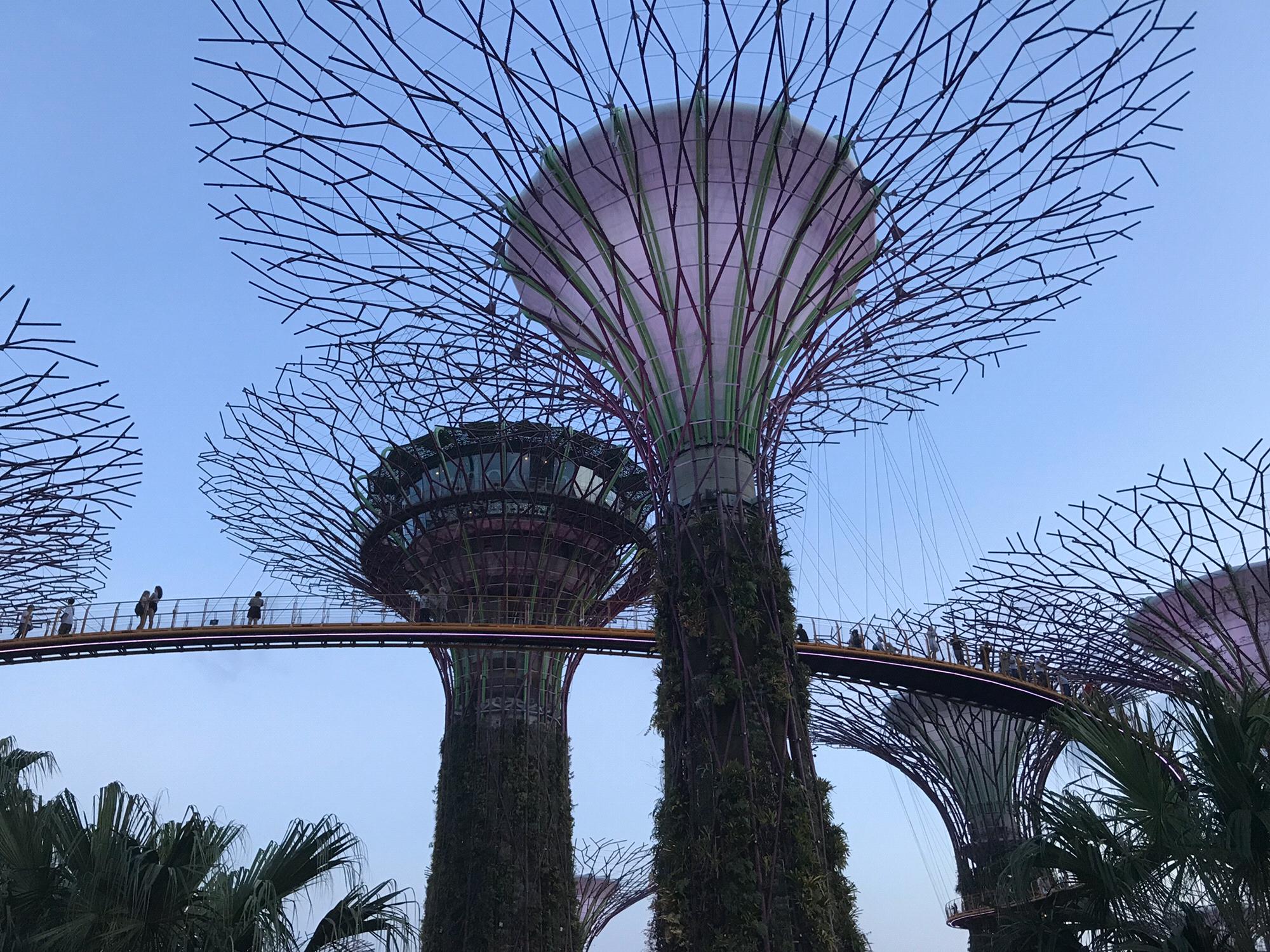 Singapore // Gardens by the Bay