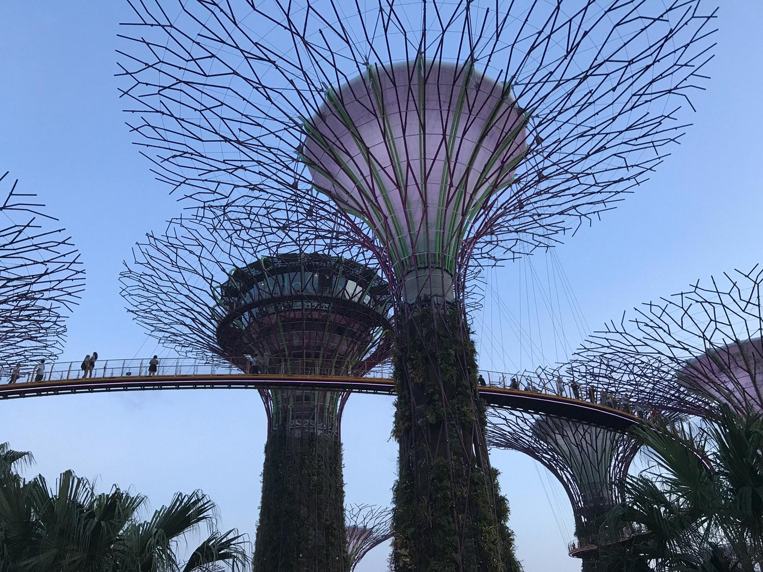 Singapore // Gardens by the Bay