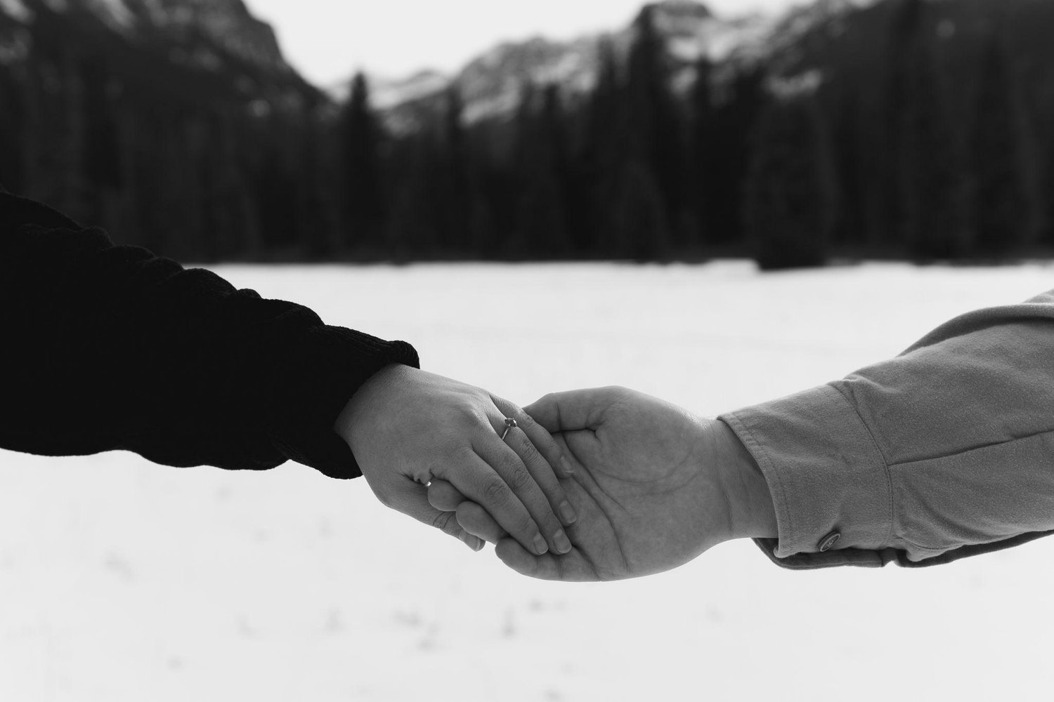 The Wedding Website of Jakob Reisenauer and Emily Sewell