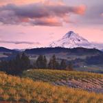 Hood River Fruit Loop
