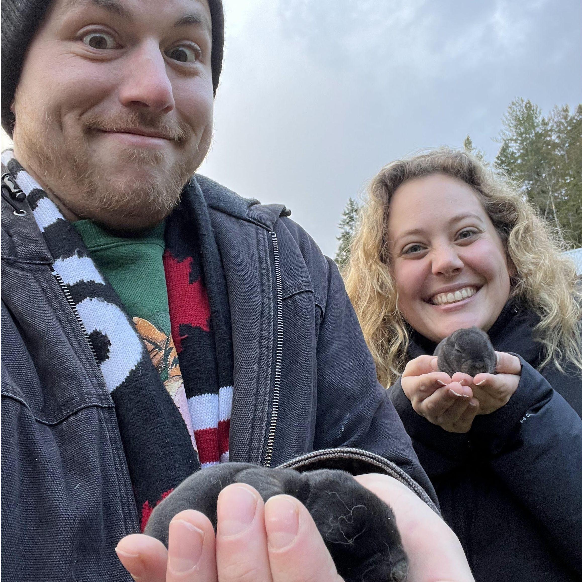Baby bunnies in Poulsbo