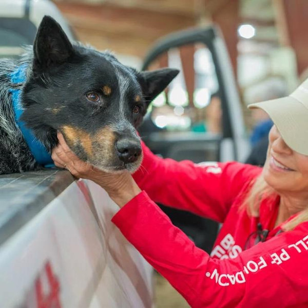 Donations to Bissell Pet Foundation