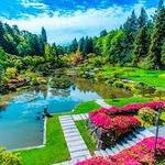 Seattle Japanese Garden