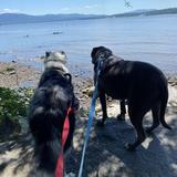 Long Dock Park