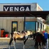 Venga