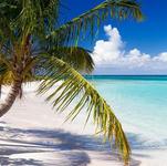 Boat Tour to Flamenco Beach
