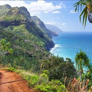 Our Hawaii Honeymoon Fund