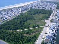 Stone Harbor Bird Sanctuary