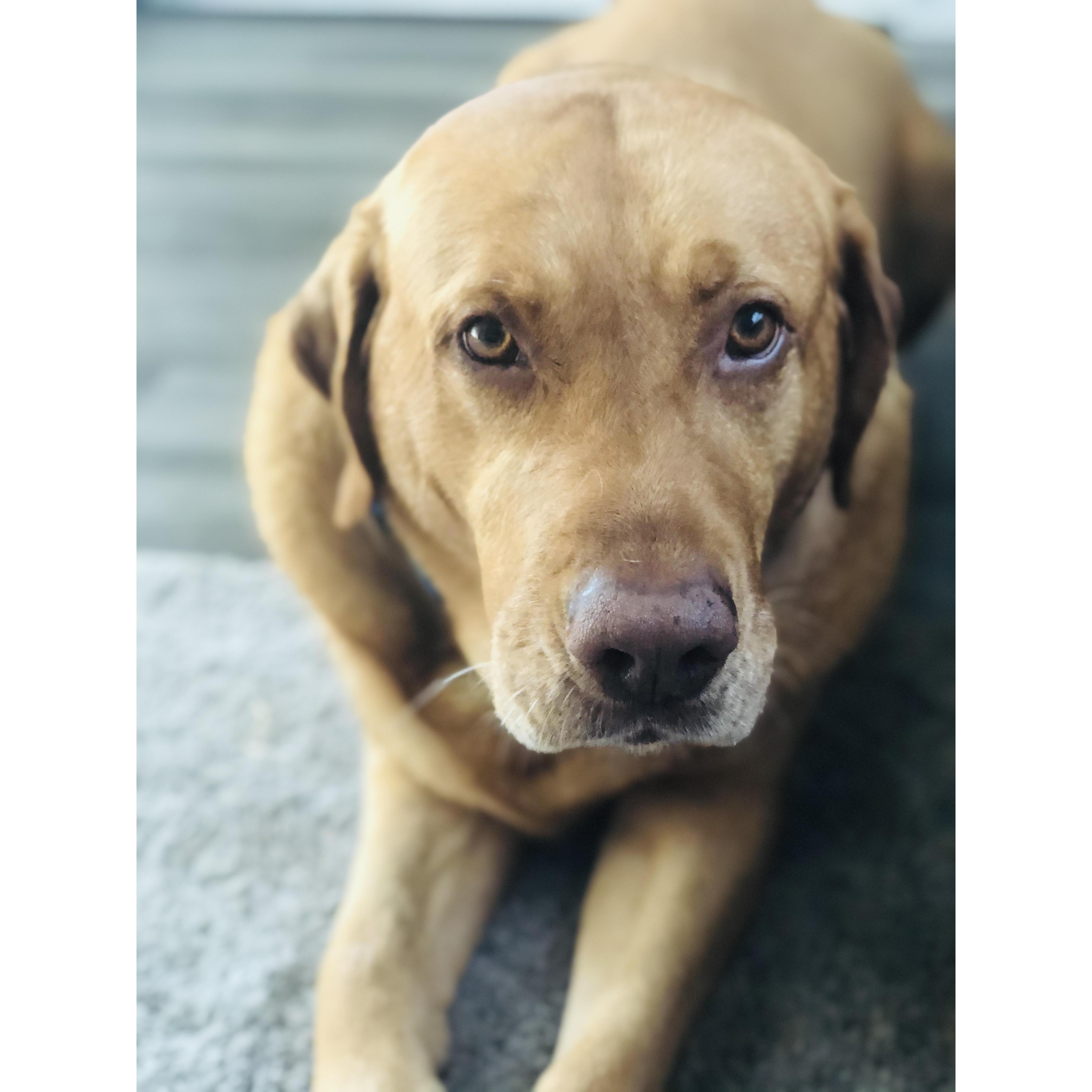 Roofus doofus <3