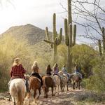 Saguaro Lake Ranch Stable