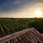 BARAKA Winery