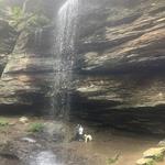 Moore Cove Falls Trail