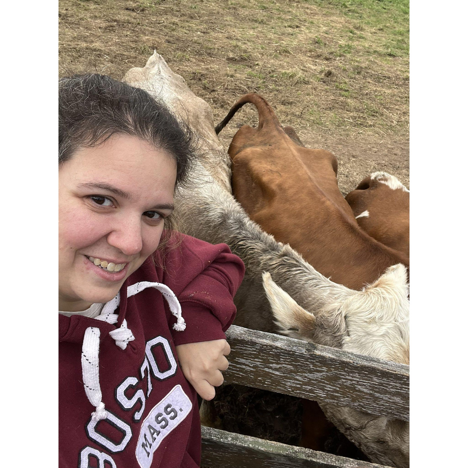 Love me some cows