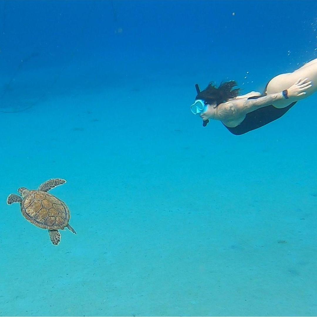 Swimming with sea turtles.