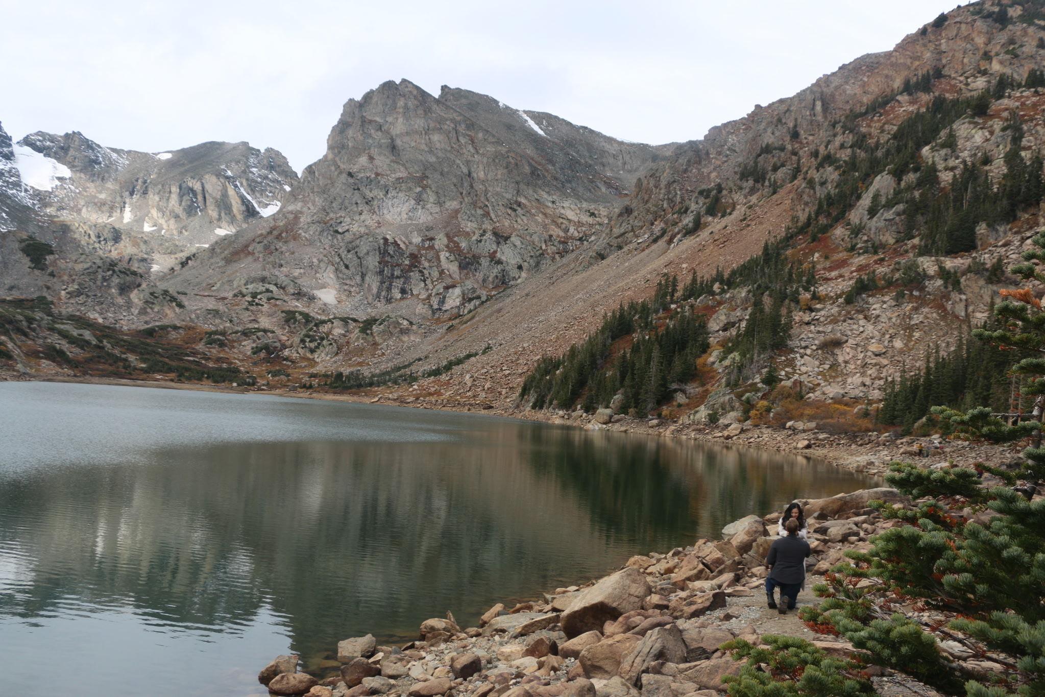 71f48454-8a1b-4429-b4cf-3143e359f0b3