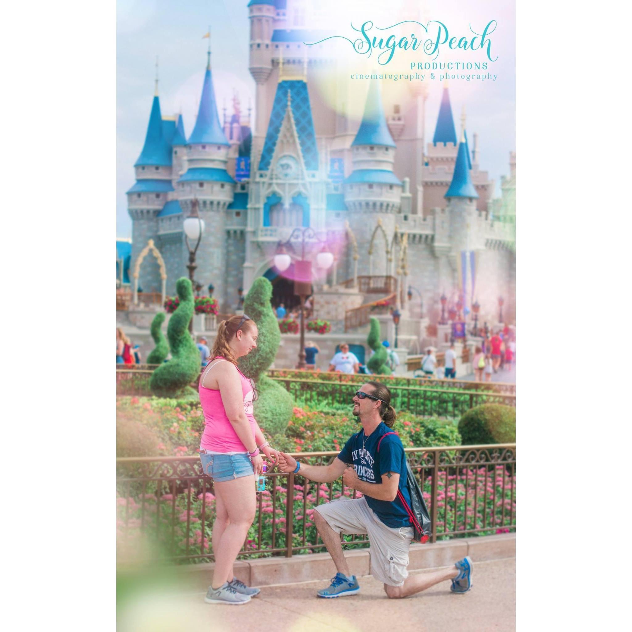 The proposal ♥