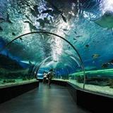 The Dallas World Aquarium