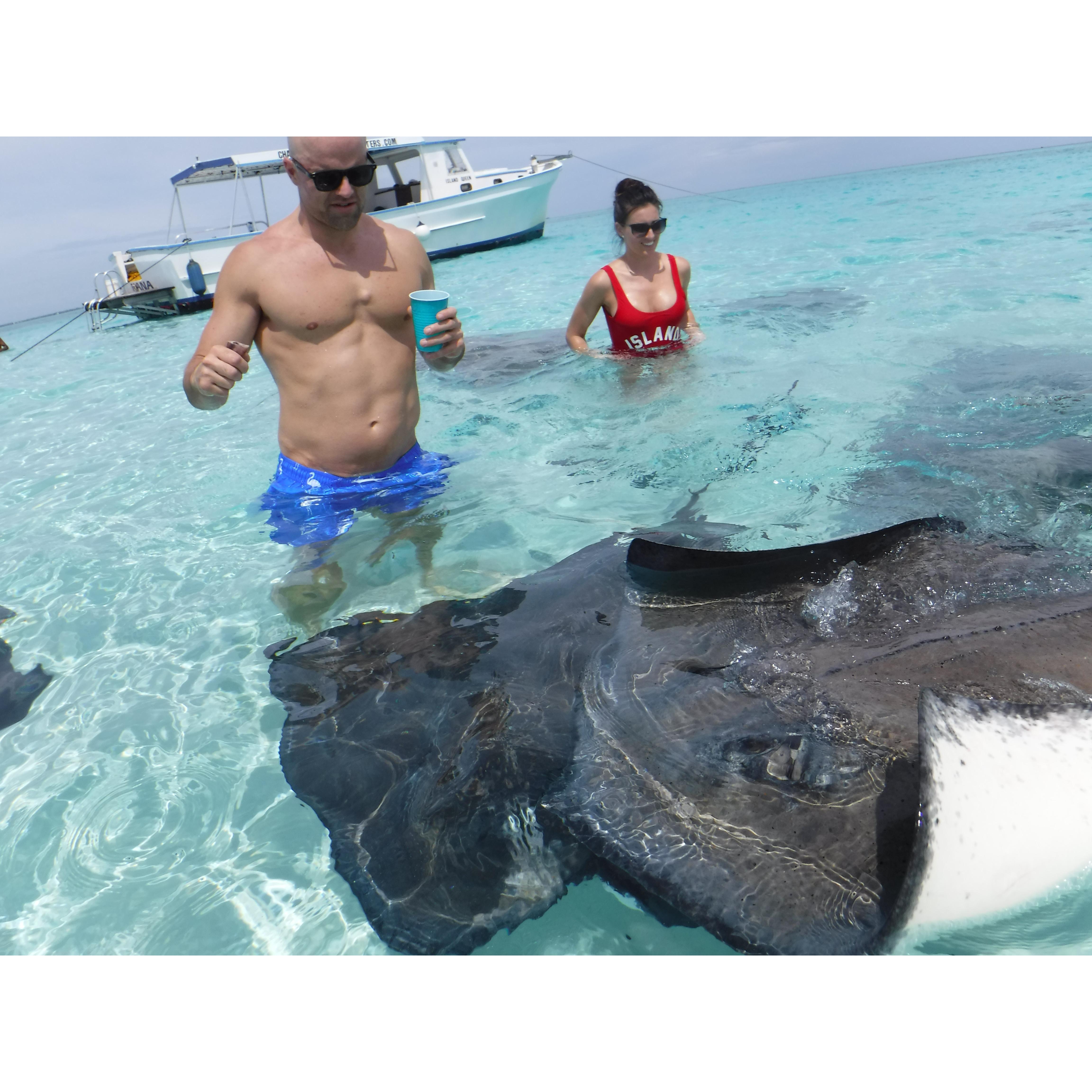 Stingray City