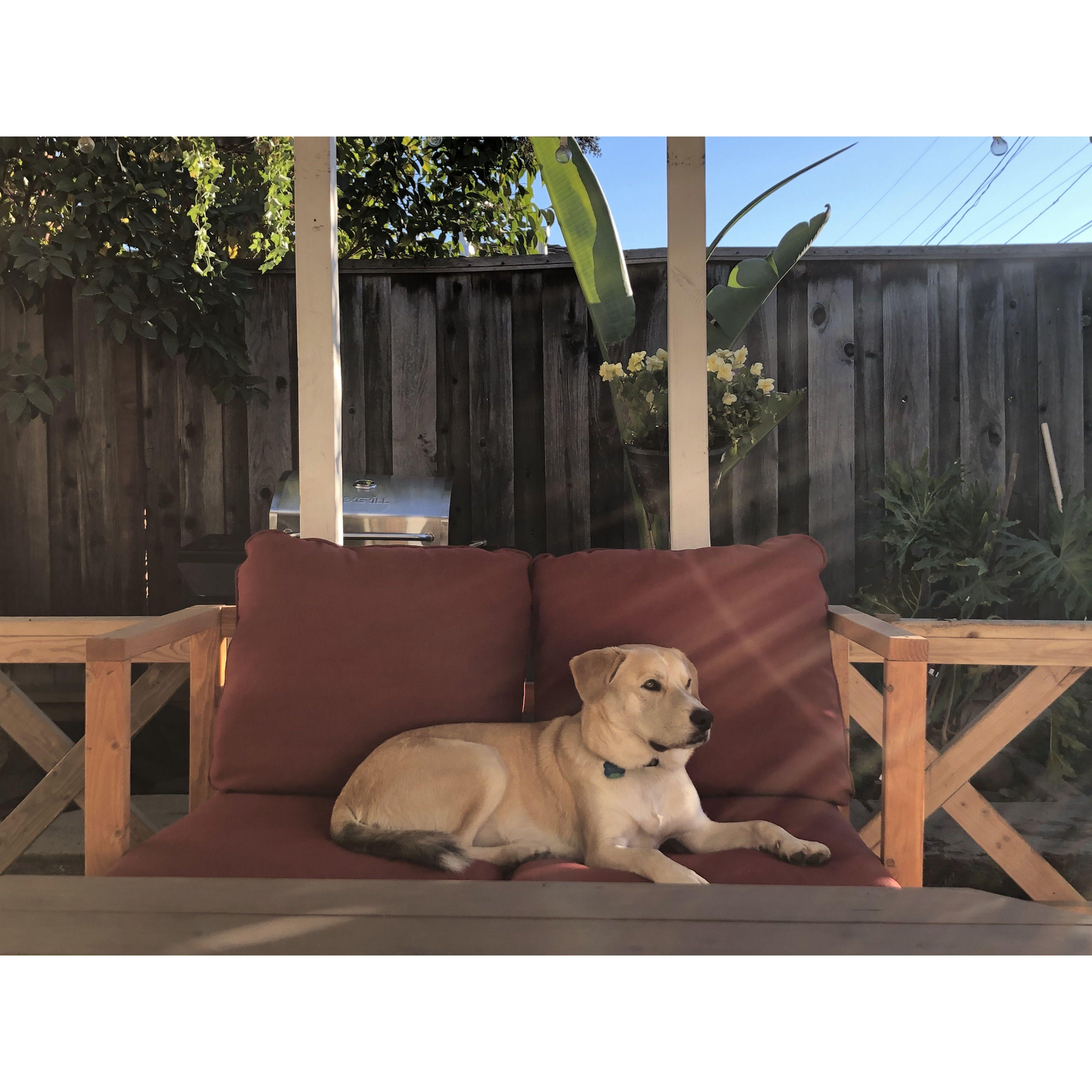 Moshe in our California House