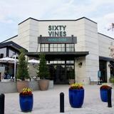 Sixty Vines