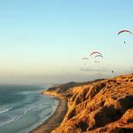 Torrey Pines State Reserve Hike