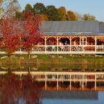 Lincoln Peak Vineyard