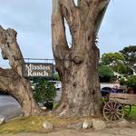 Mission Ranch Restaurant