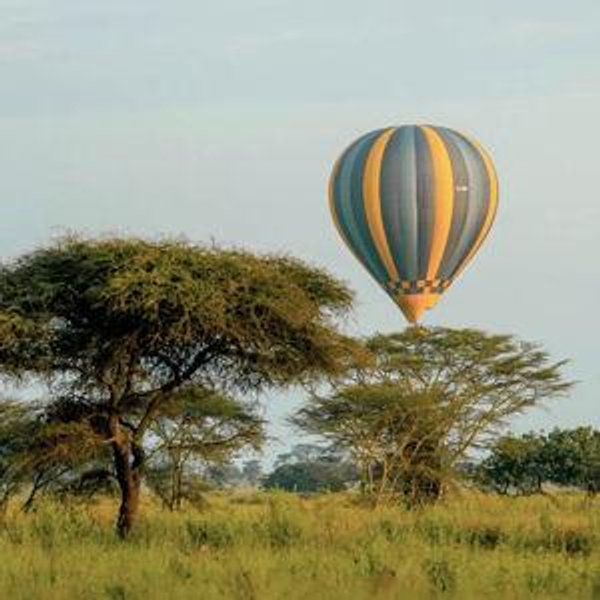 Hot air balloon ride above the Serengeti!